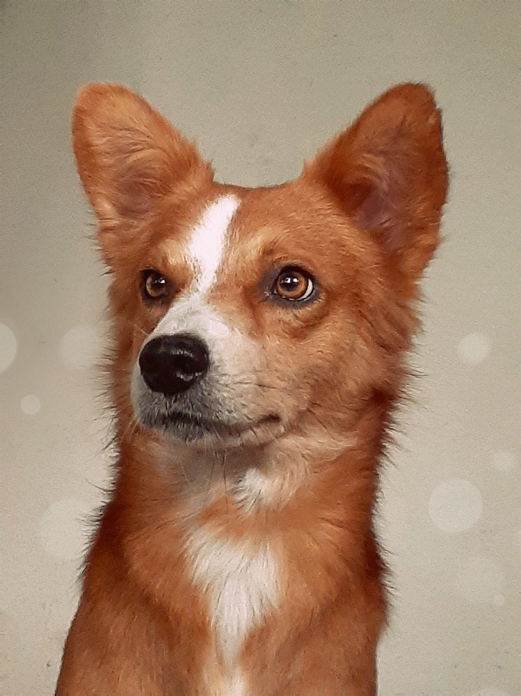 Felipe
