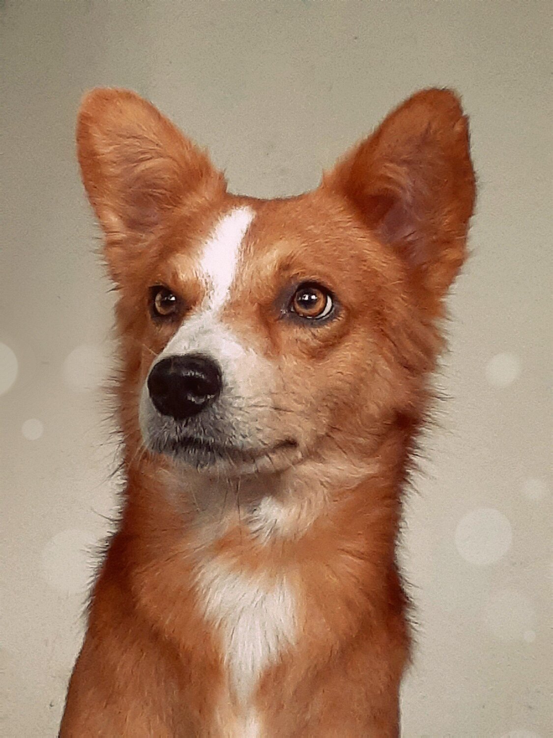 Felipe