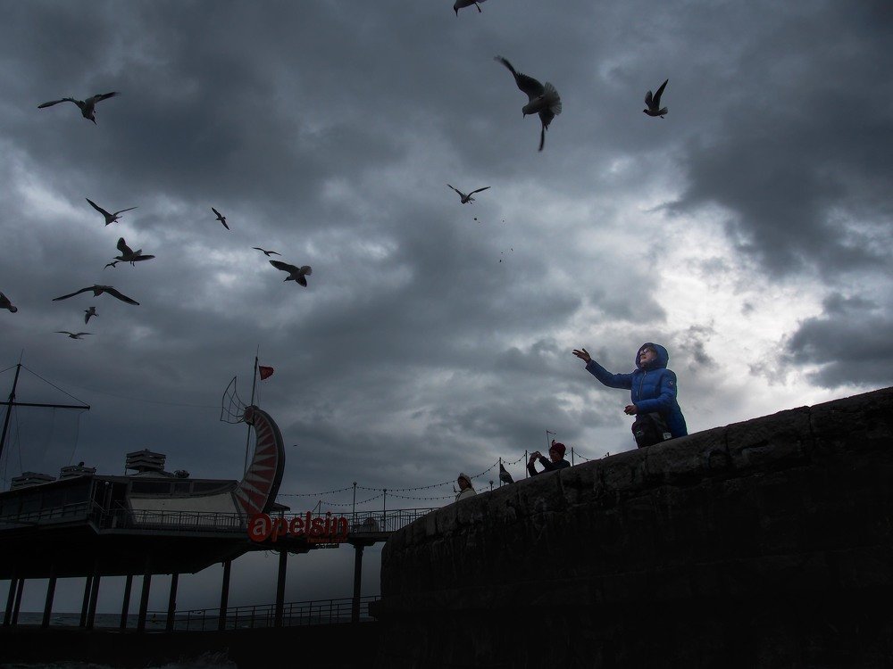 Photograph by mikhail goryachev