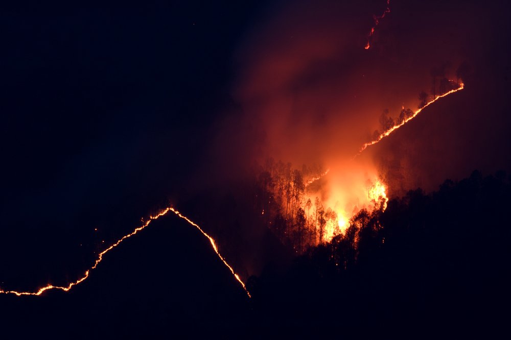 Photograph by Mukul Mukherjee