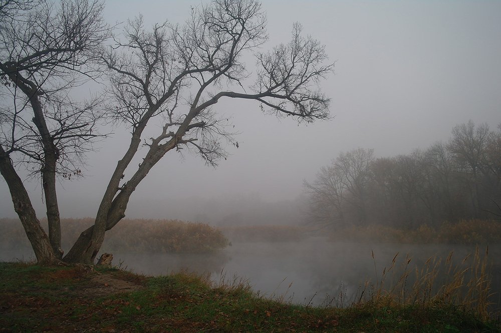 Photograph by Евгений Кулик