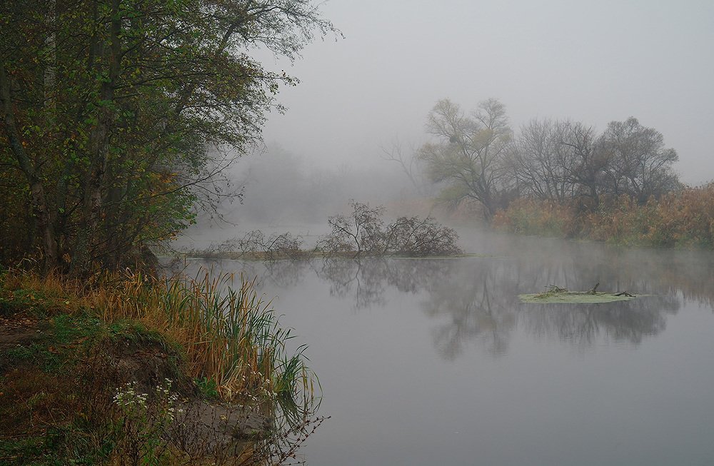 Photograph by Евгений Кулик
