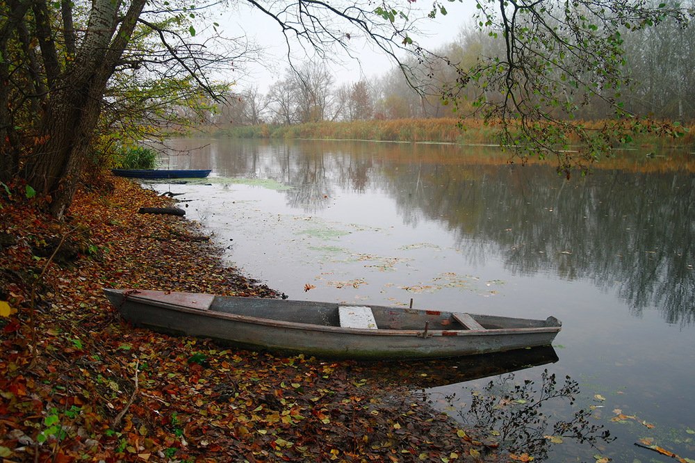 Photograph by Евгений Кулик