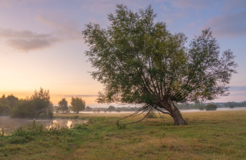 Photograph by Andy Fowlie