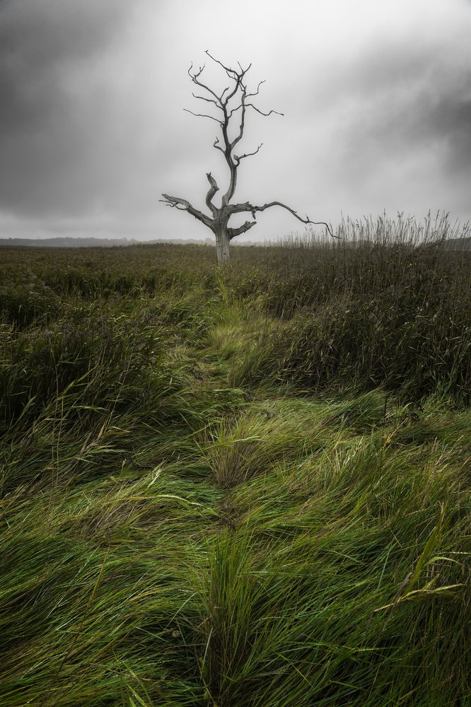 Photograph by Andy Fowlie