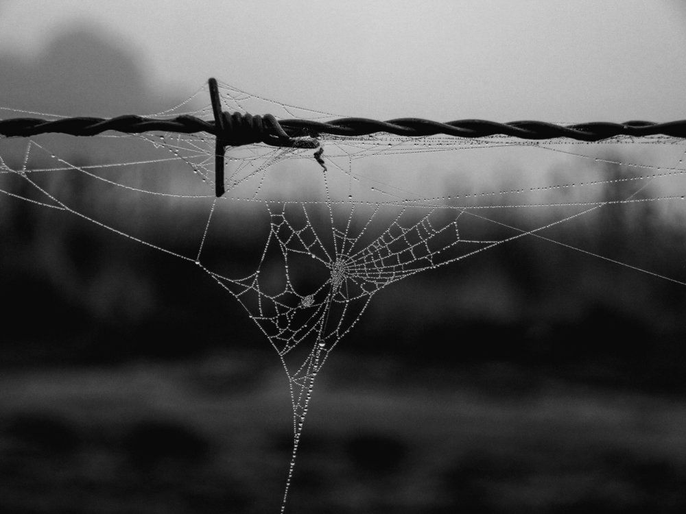 Photograph by Viviana García