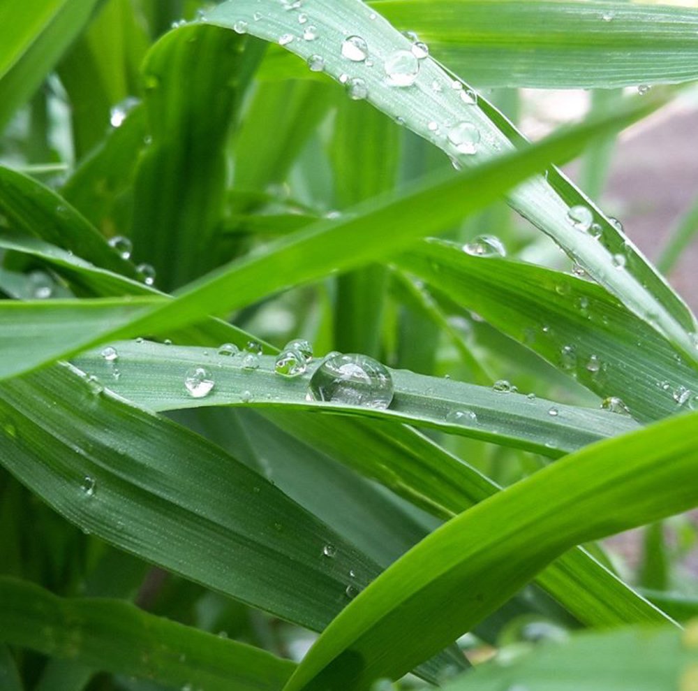 Photograph by Александра Титова