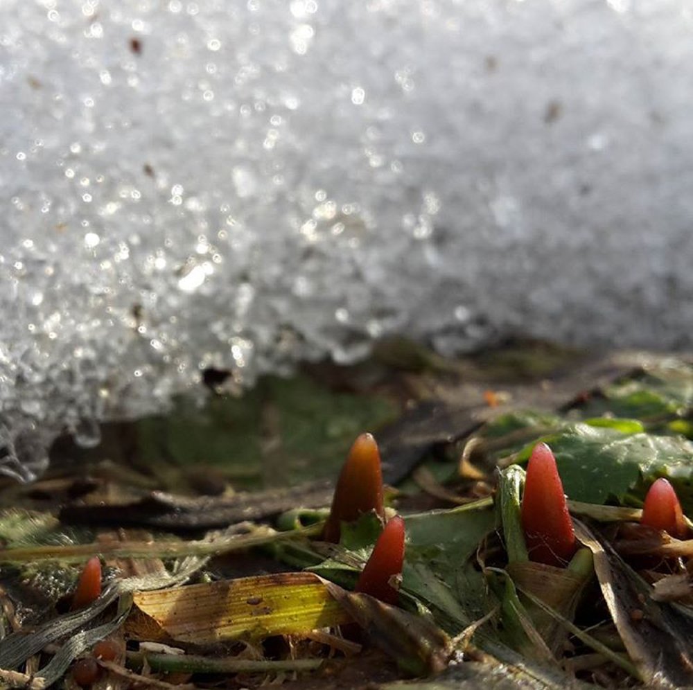 Photograph by Александра Титова