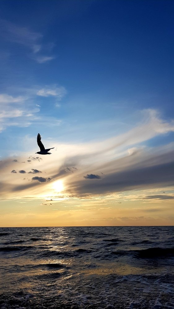 Photograph by Лиана Горгиладзе