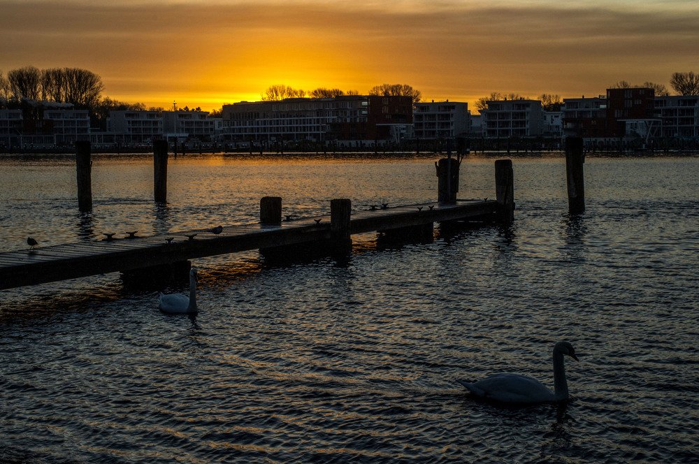 Photograph by Ирина Федорова