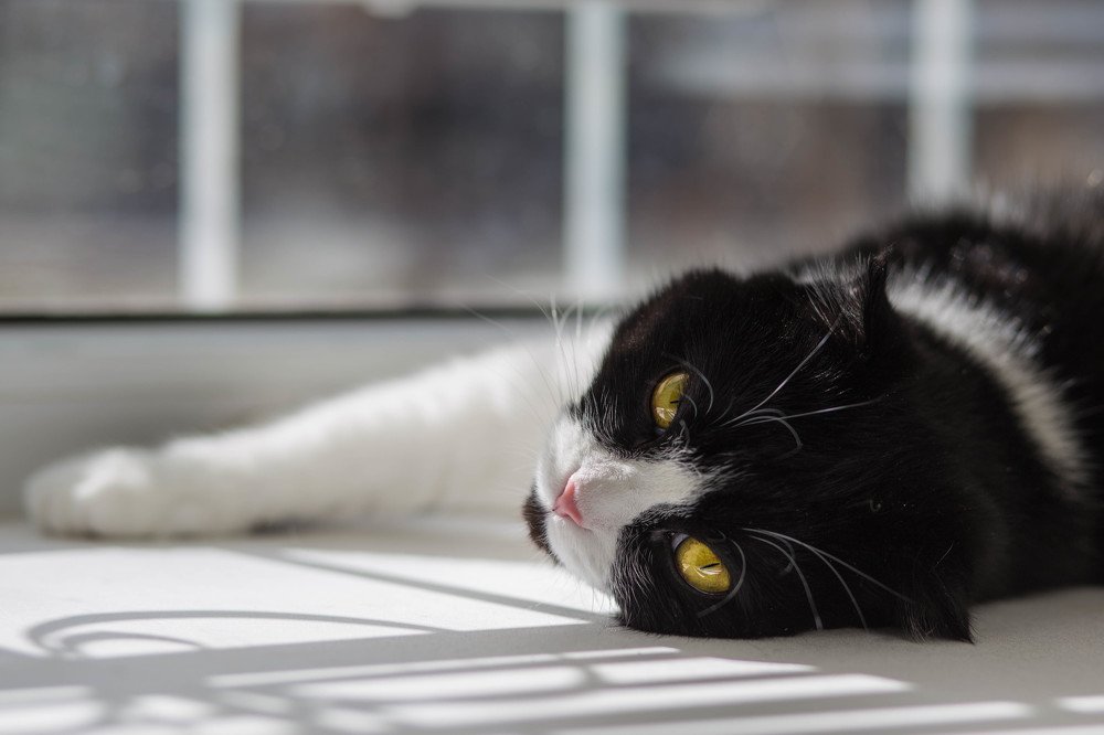 Photograph by Александра Меньшенина