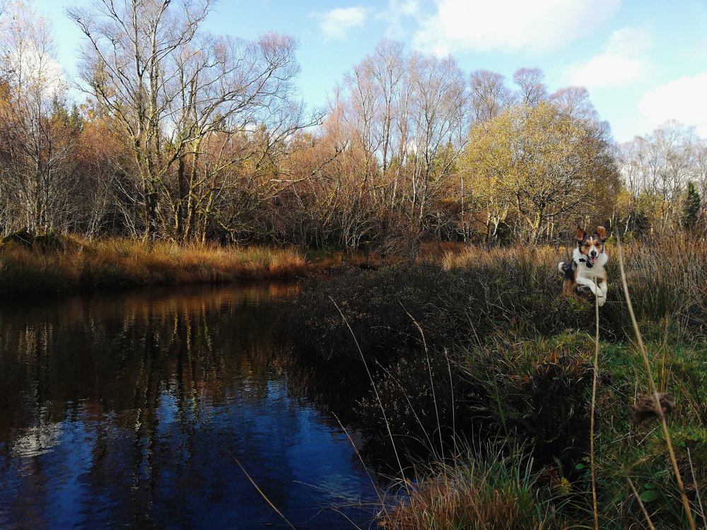 Утренняя прогулка по Коннемаре