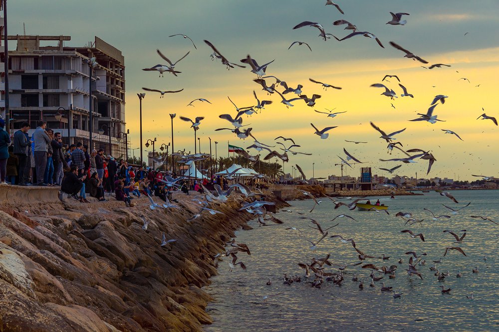Photograph by hamed Movahedzadeh