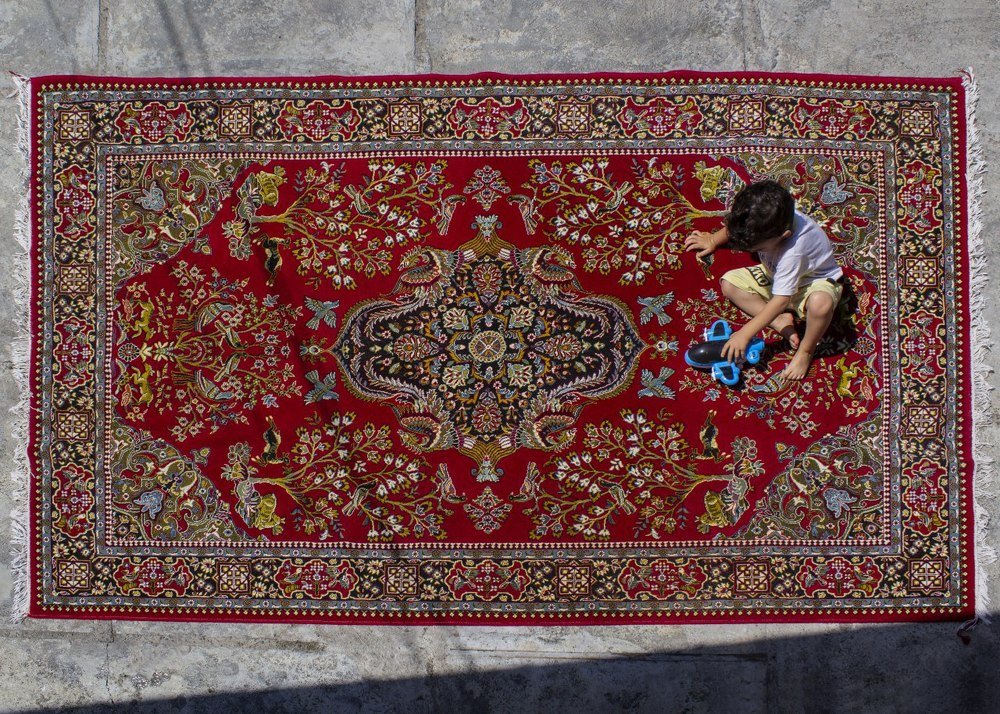 Photograph by sara shafigh