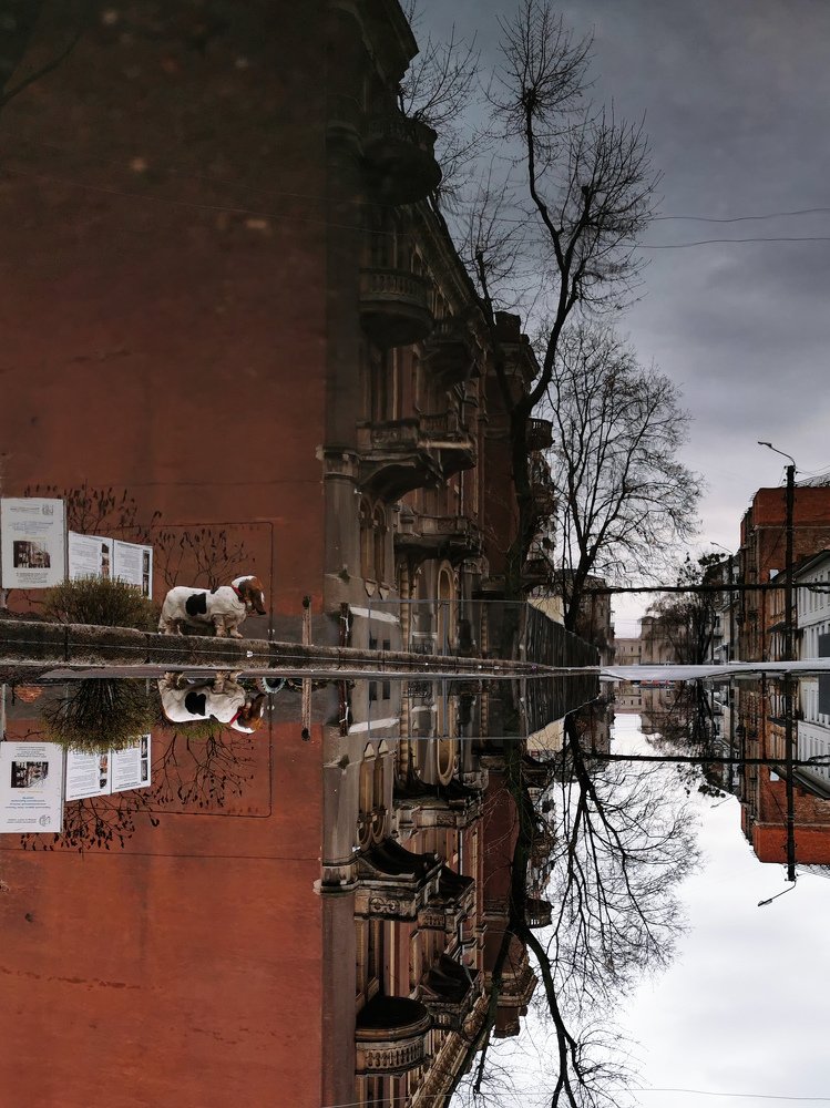 Photograph by Екатерина Ж.