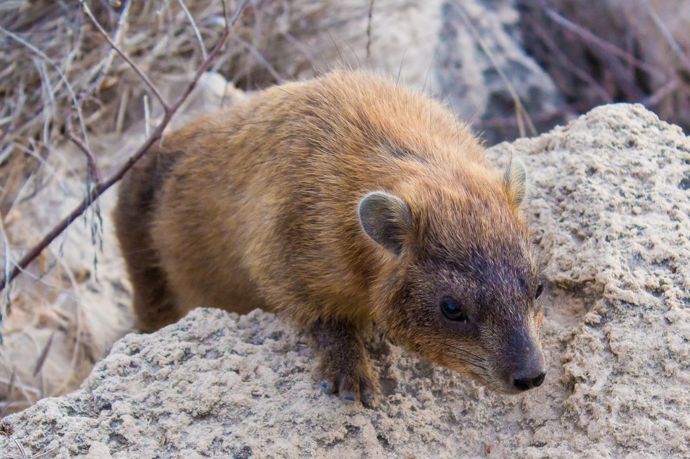 Photograph by Евгения Журавлёва