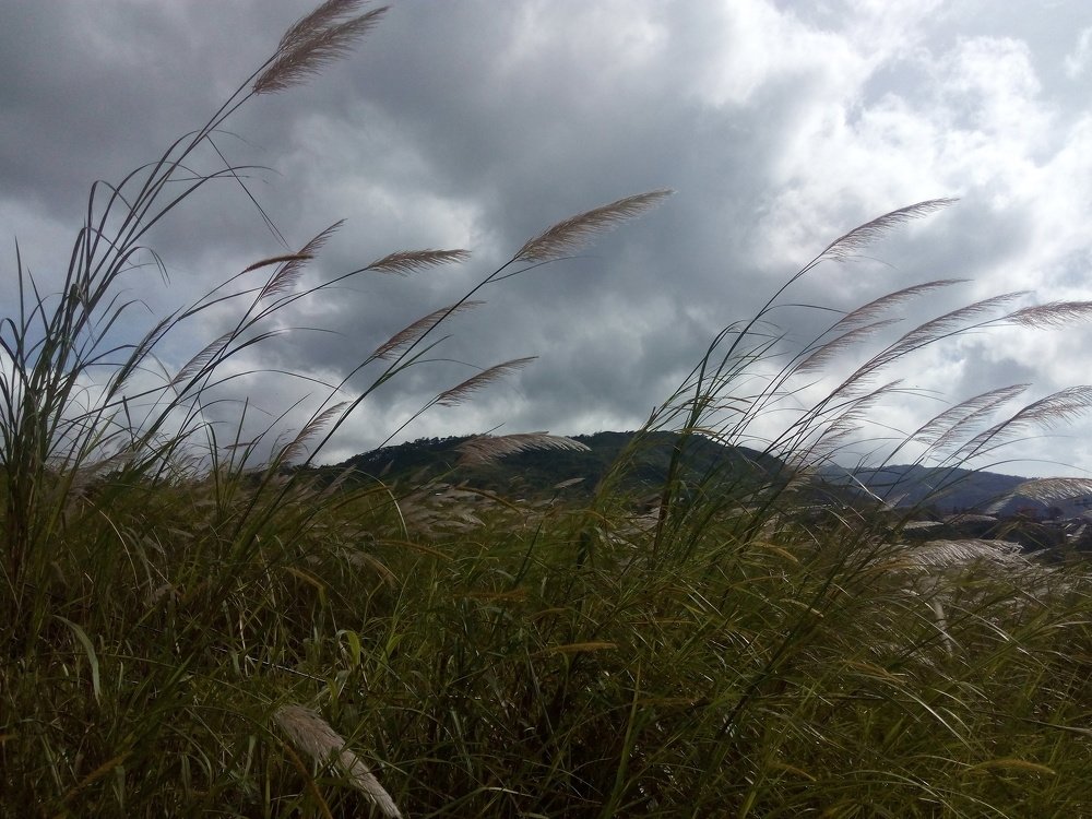 Photograph by Aira Yadgnos