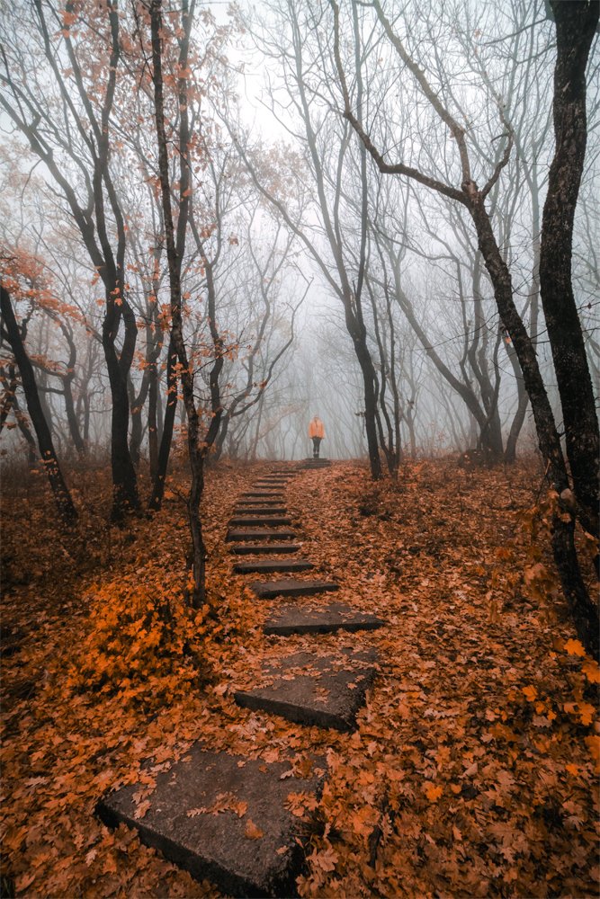 Осенним утром