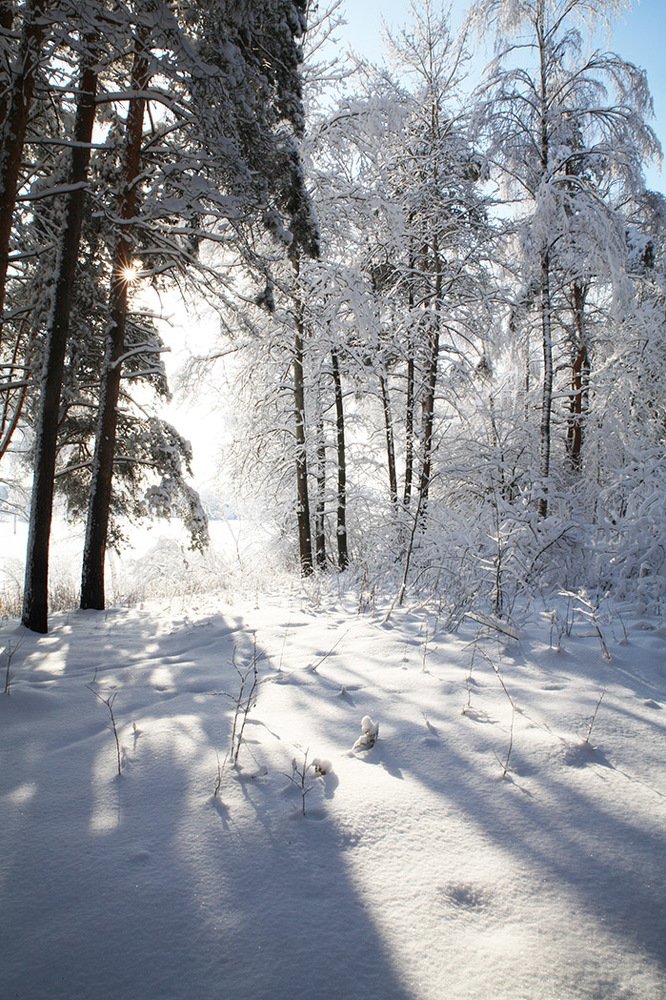 Светаживопись