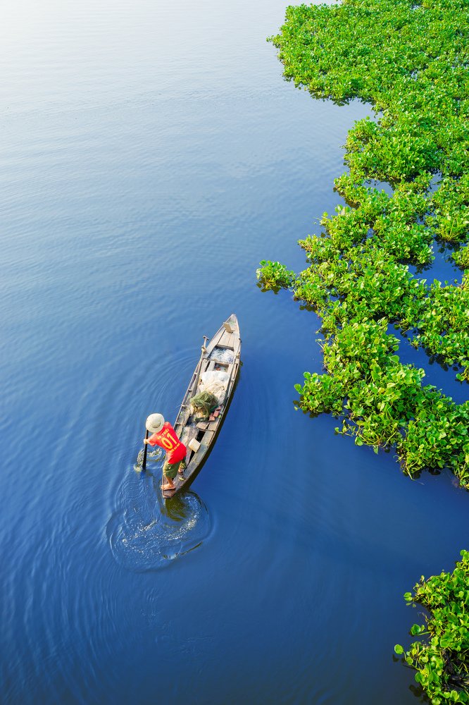 Photograph by Andy Lam