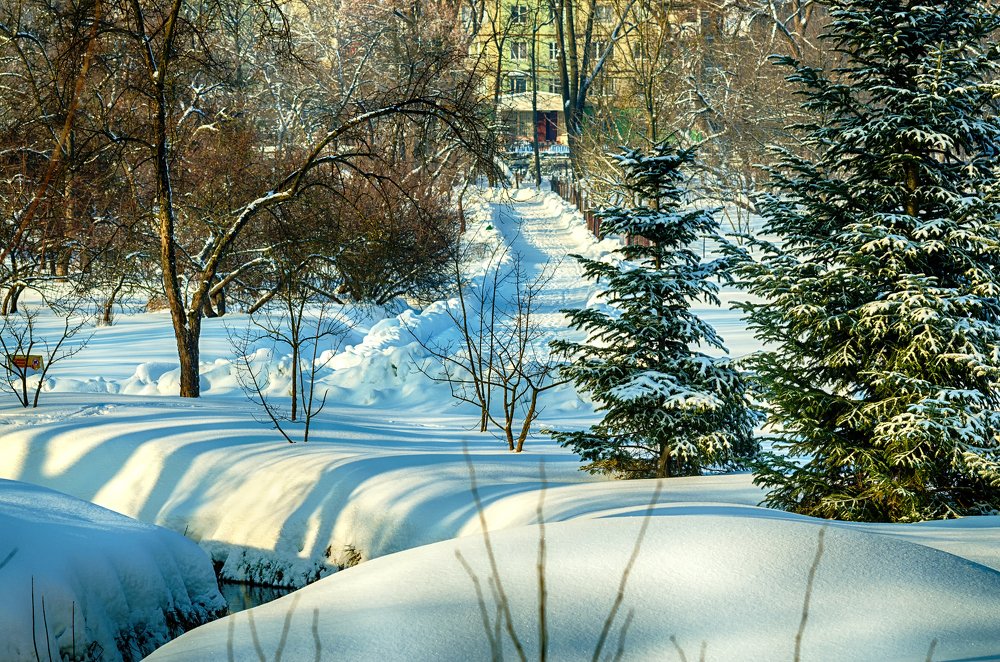 Протоптанная дорога домой. Зимний дендропарк.