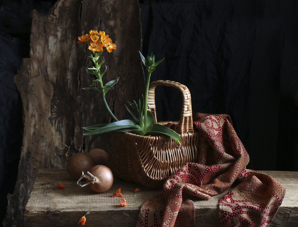 Photograph by Татьяна Панчешная