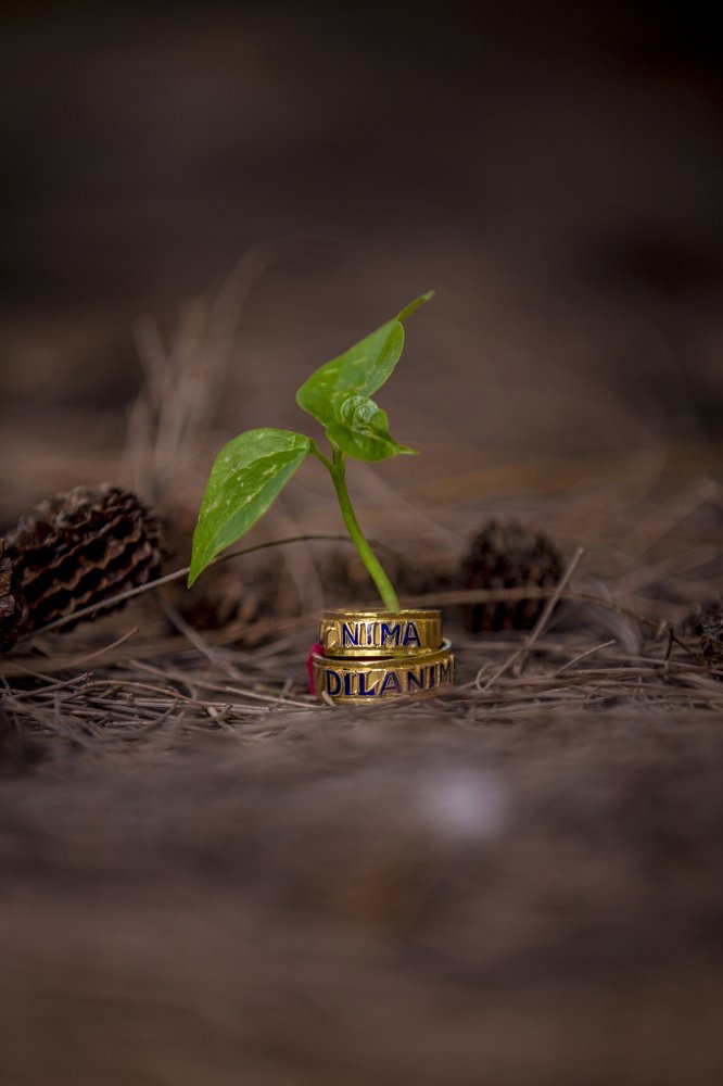 Photograph by THANUSSANTH THARMAPALAN