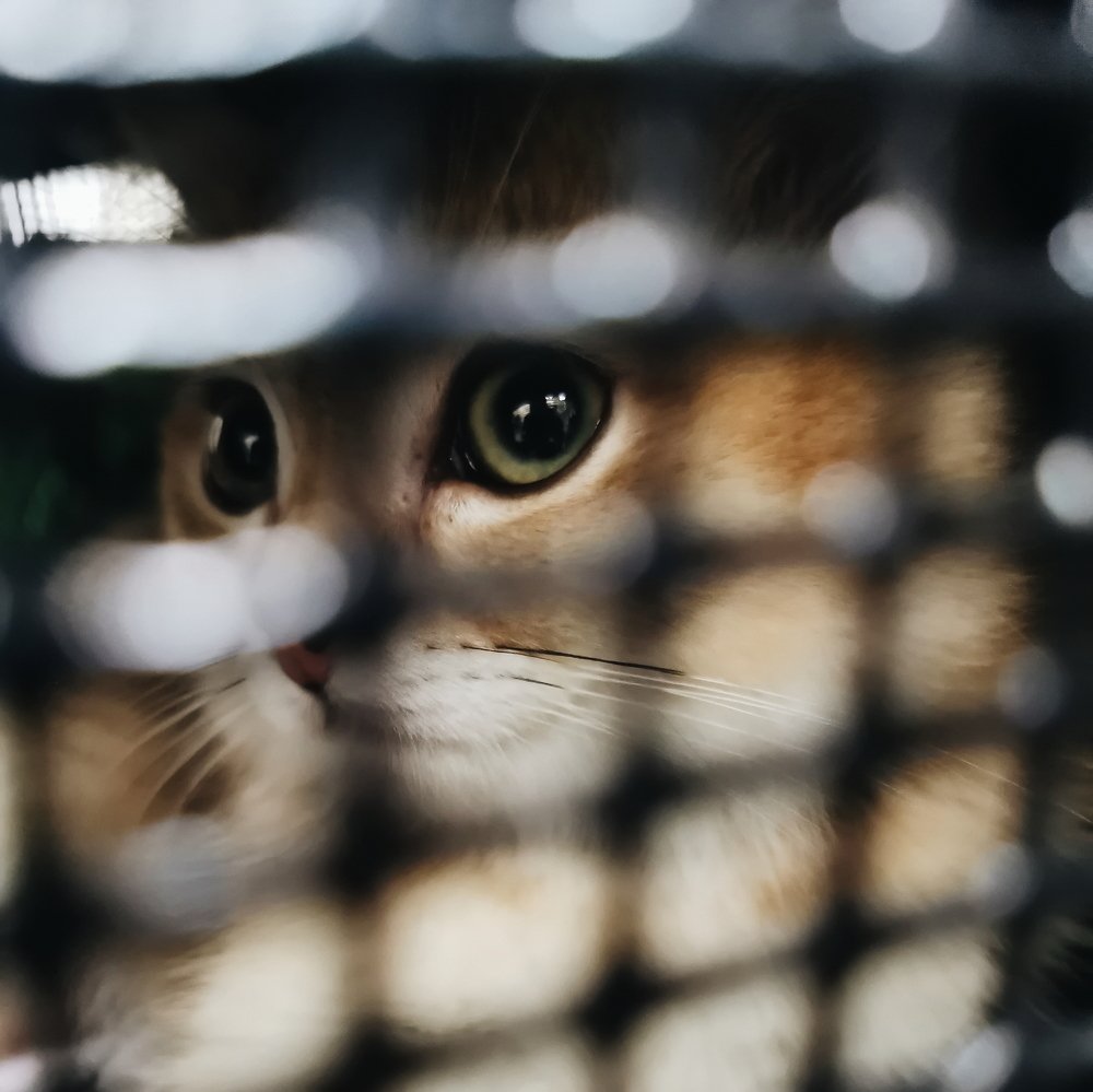 Фотография автора Валентин Ефимов