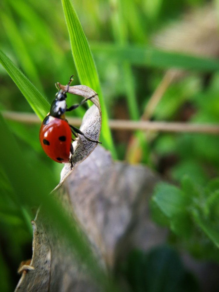 Фотография автора Юлия Вычужанина