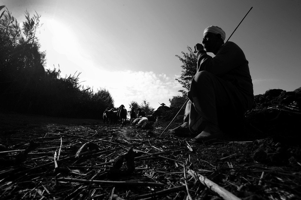 Photograph by Hashem Mohamed