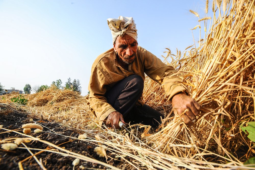 Photograph by Hashem Mohamed