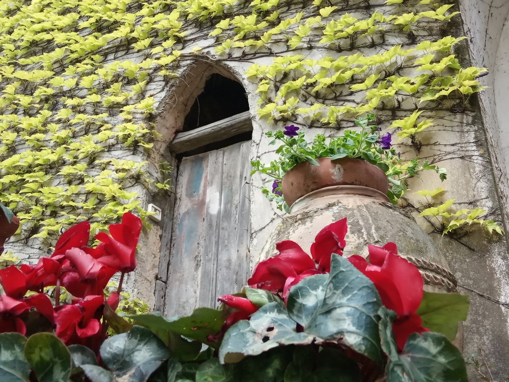 Дверь в неизвестность