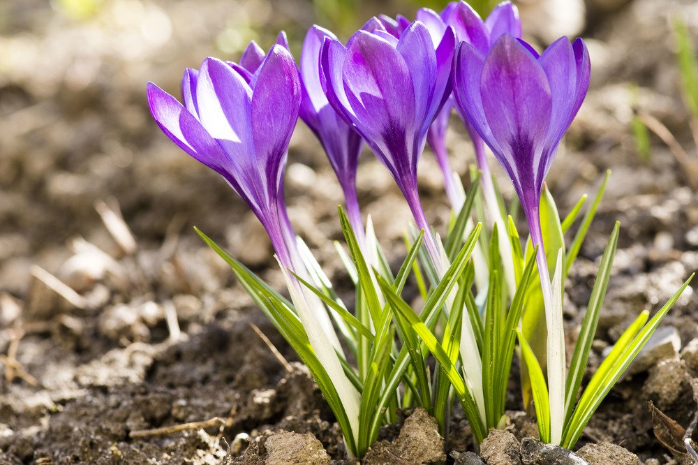 Photograph by Олесь