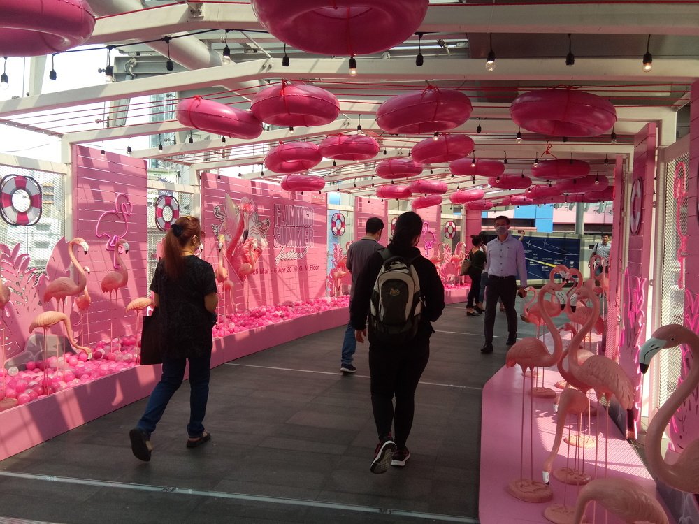 Flamingo Summer Festival