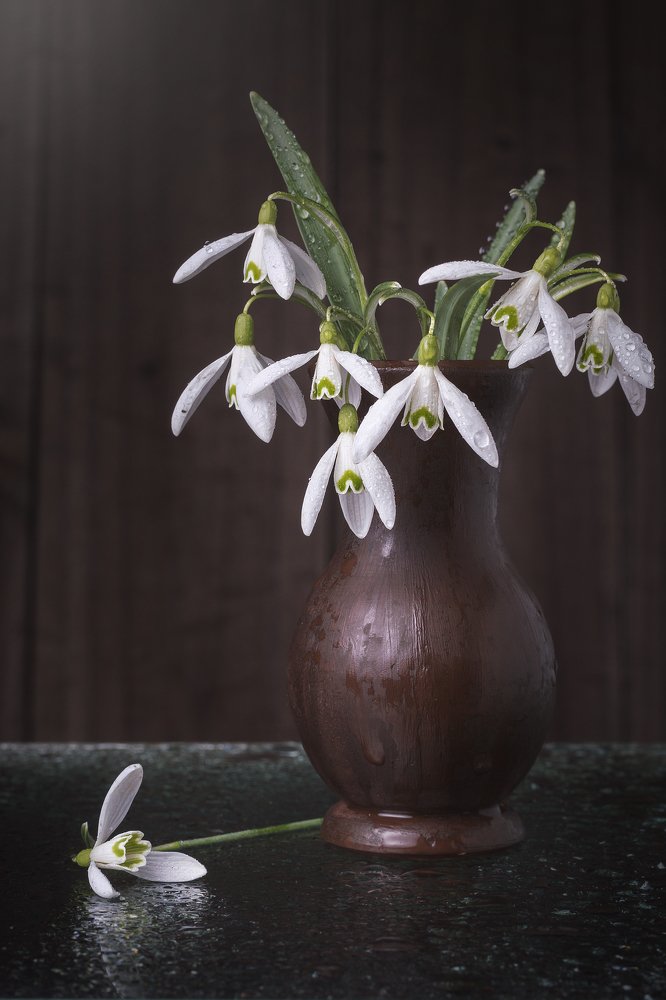 Photograph by Максим Вышарь