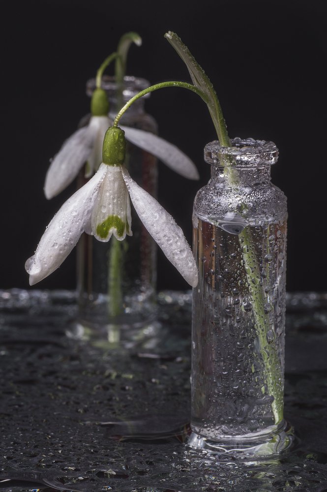 Photograph by Максим Вышарь