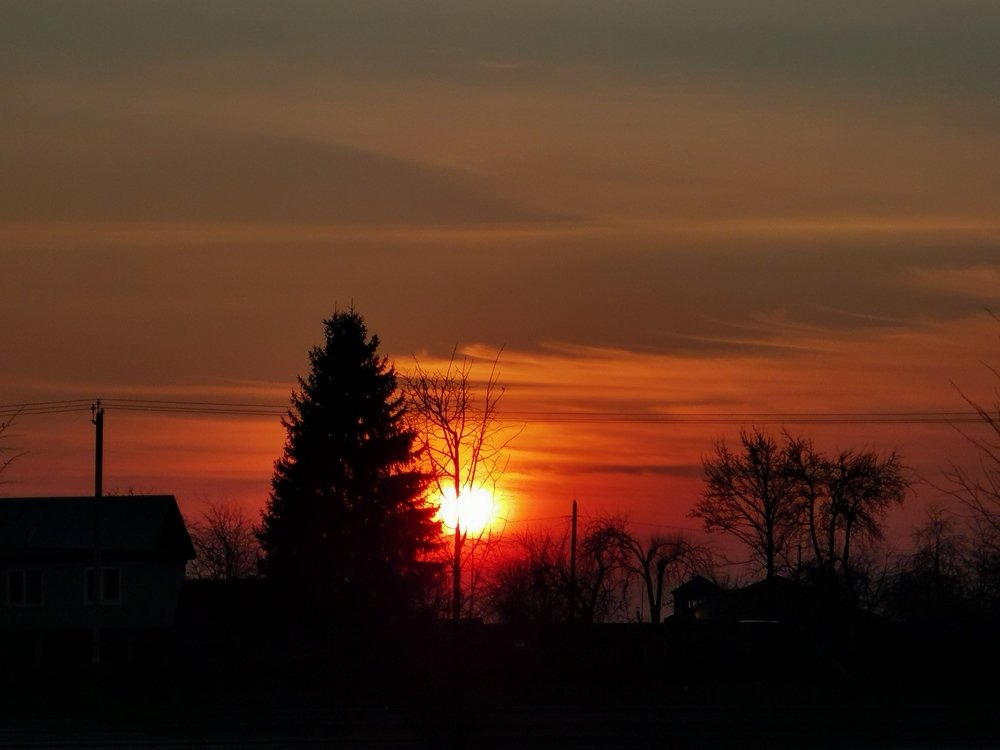 Photograph by Александр Костин