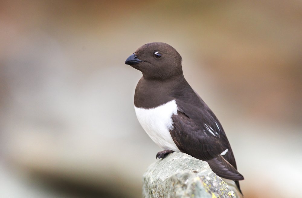 Photograph by Власов Егор