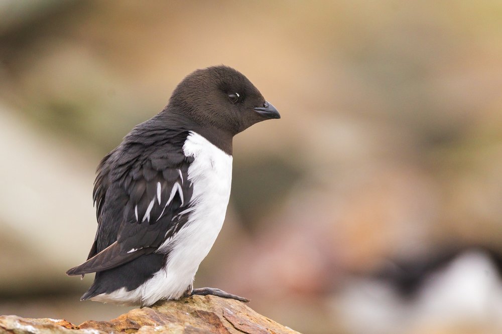 Photograph by Власов Егор