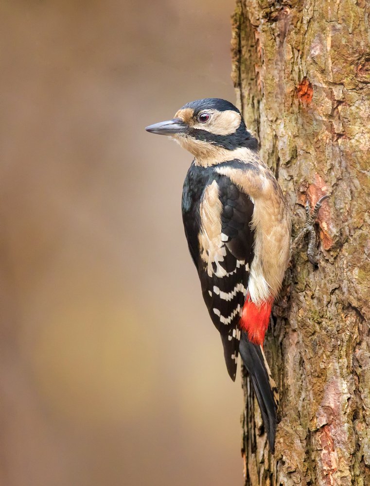 Photograph by Власов Егор