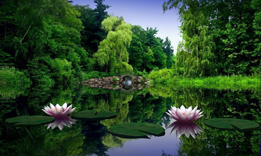 Photograph by Gönül Demirel