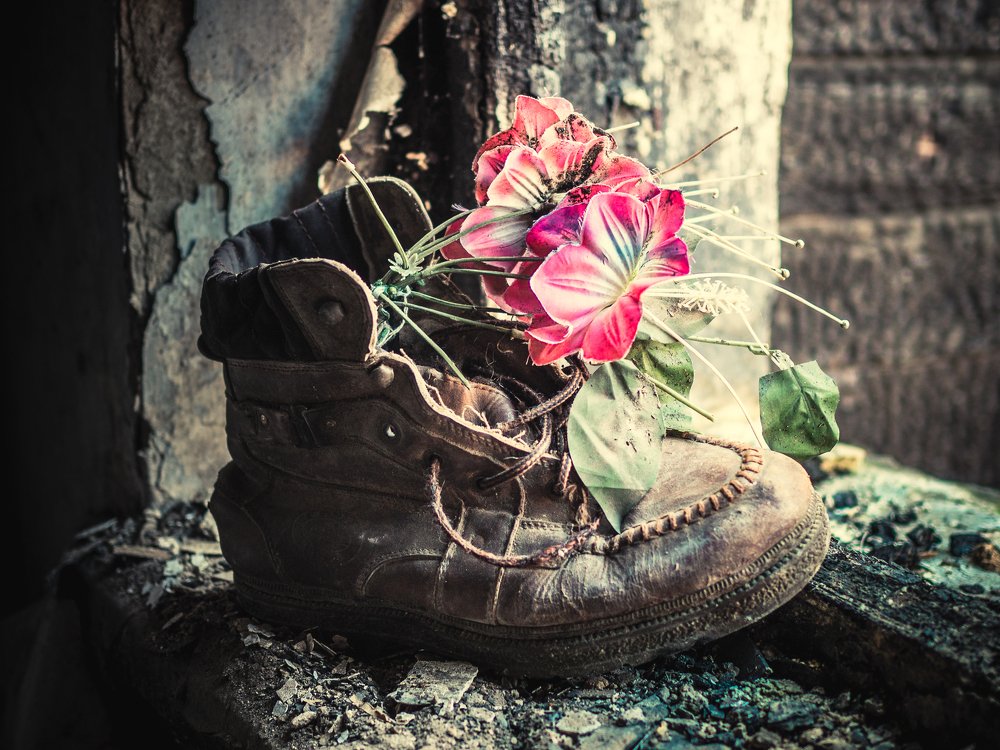 Photograph by Антон Данилов