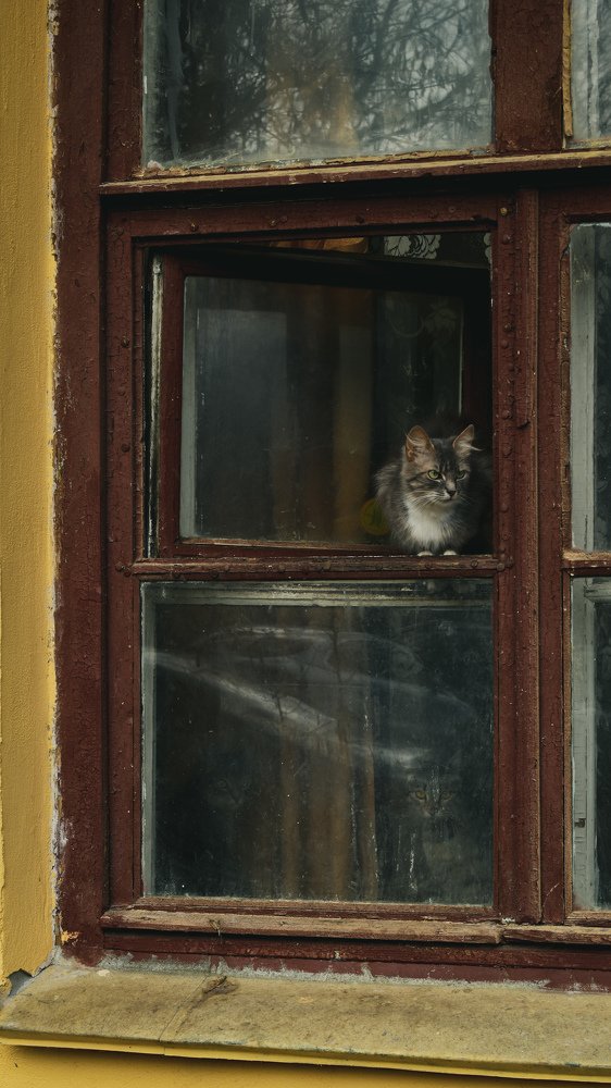 Photograph by Артем Макаров