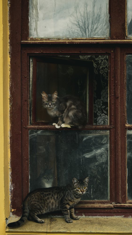 Photograph by Артем Макаров