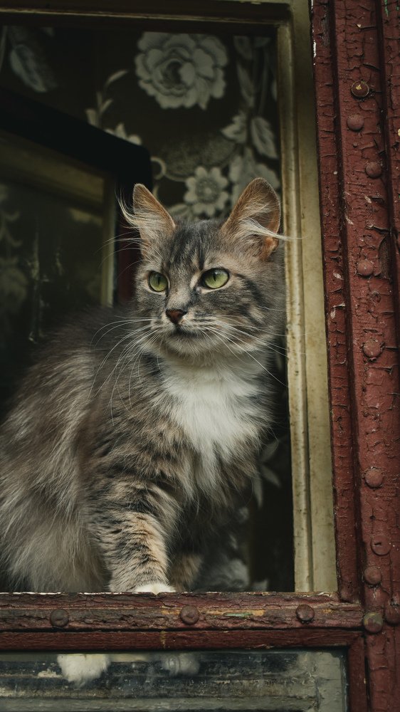 Photograph by Артем Макаров
