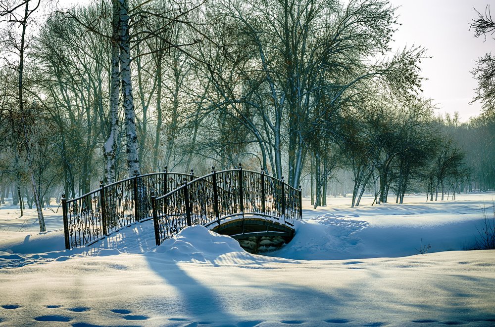 Утро в зимнем парке.