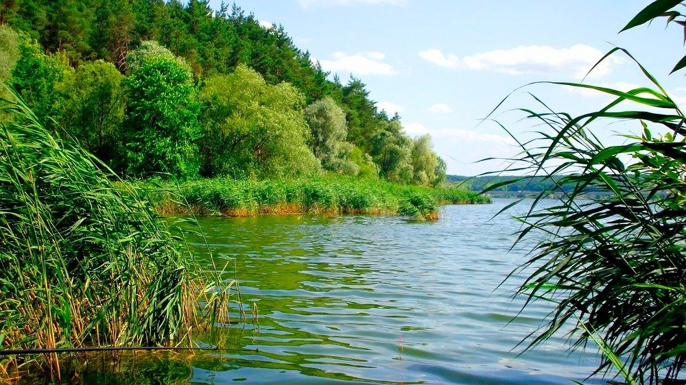 Photograph by Наталья Басова