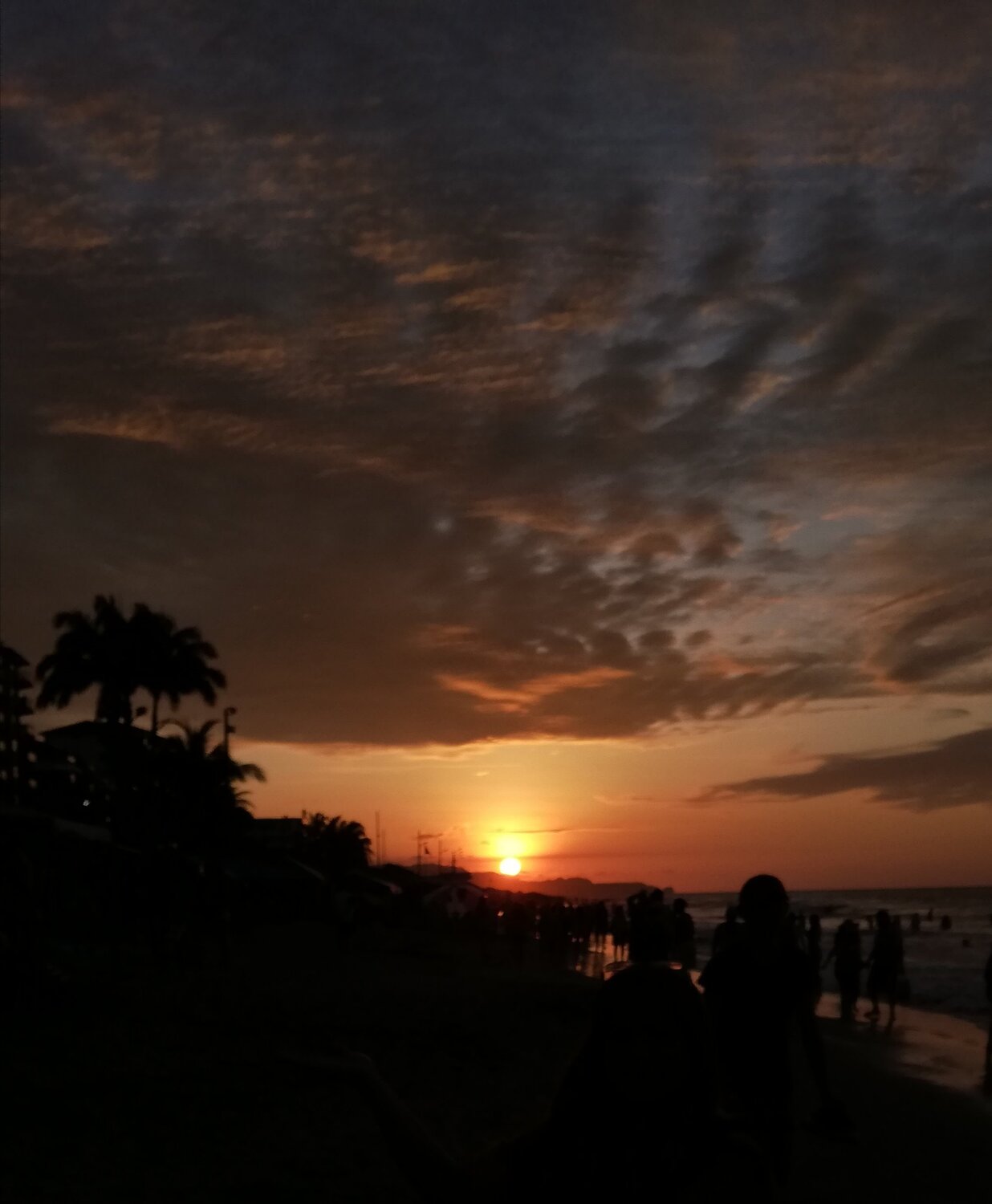 Photo #4478669