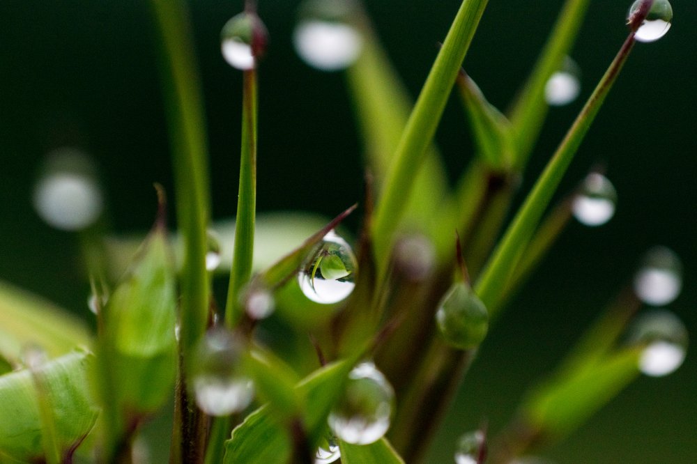 Фотография автора Jose Marcos Carvajal Tarazona
