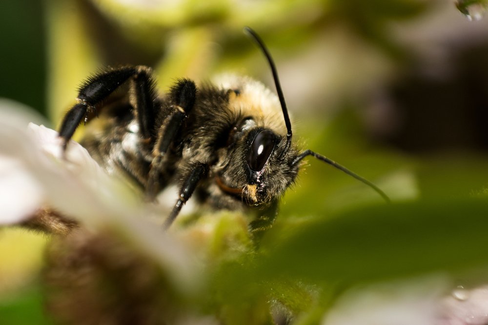 Фотография автора Jose Marcos Carvajal Tarazona